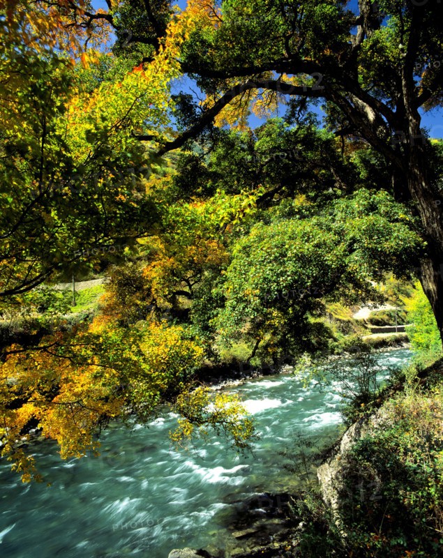 Sichuan Province,Miyaluo