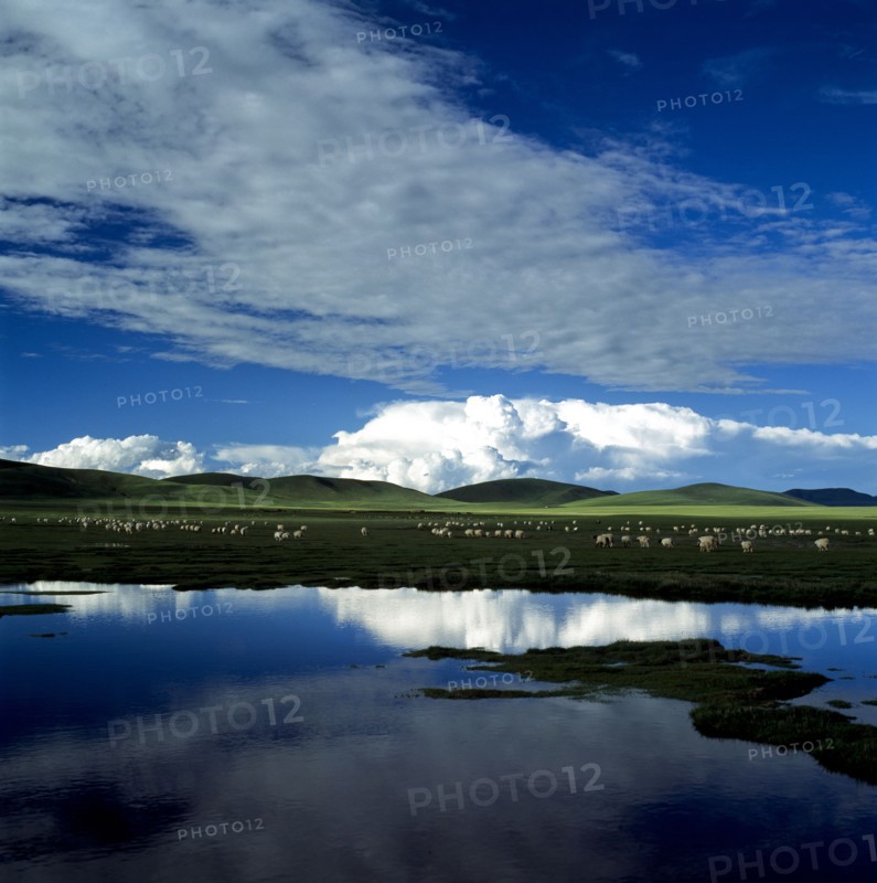 Tibet