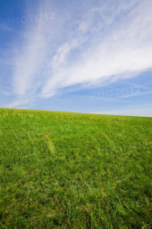 Bashang grassland in Inner Mongolia