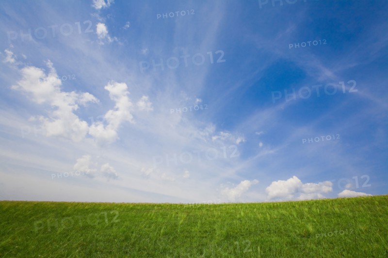 Bashang grassland in Inner Mongolia