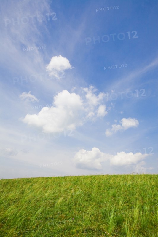 Bashang grassland in Inner Mongolia