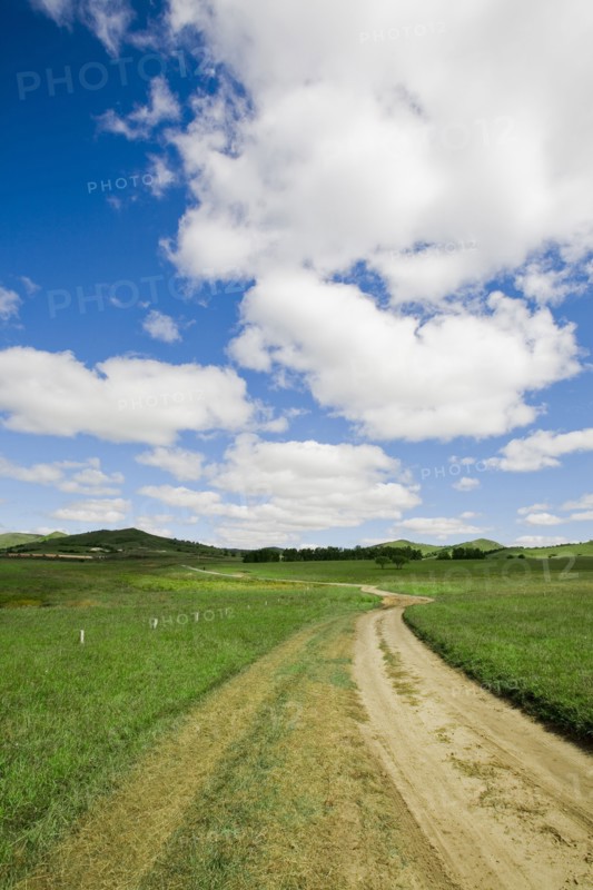 Bashang grassland in Inner Mongolia