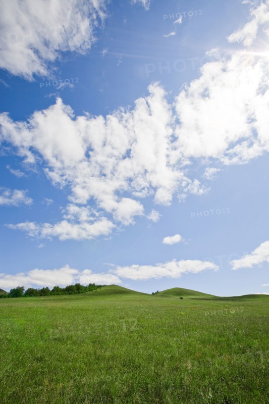 Bashang grassland in Inner Mongolia