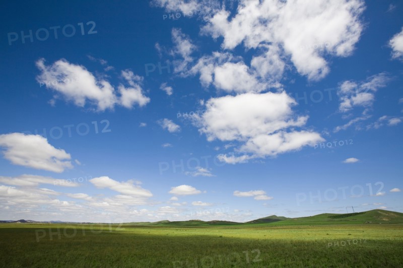 Bashang grassland in Inner Mongolia