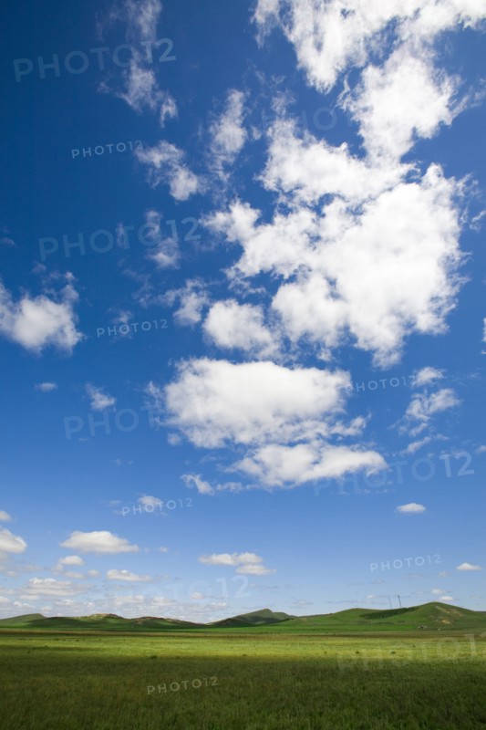 Bashang grassland in Inner Mongolia
