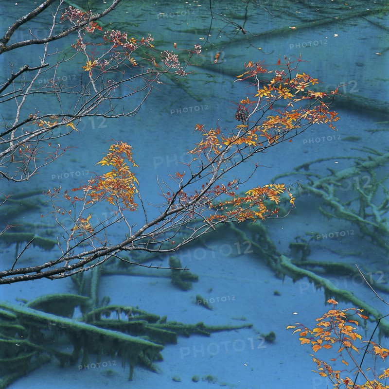 Sichuan Province,Jiuzhaigou