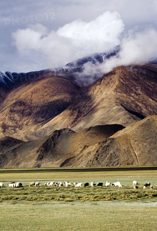 Tibet