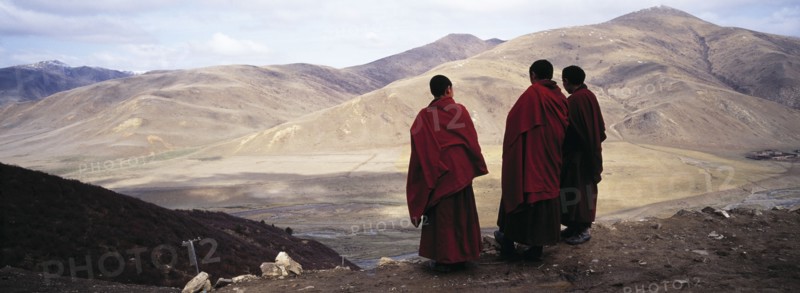 Lama