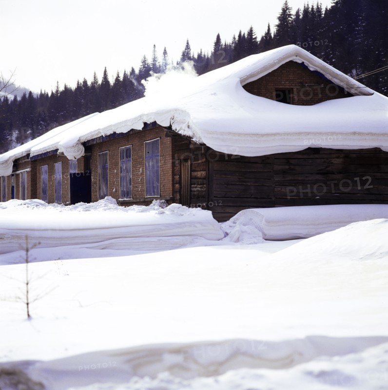 Snow Scene