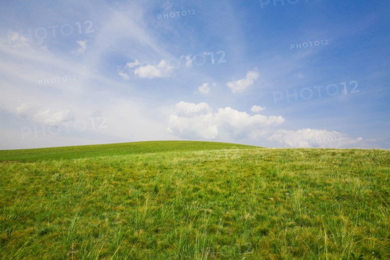 Bashang grassland in Inner Mongolia