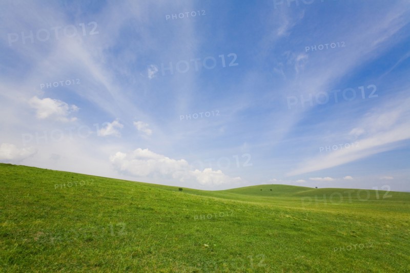 Bashang grassland in Inner Mongolia