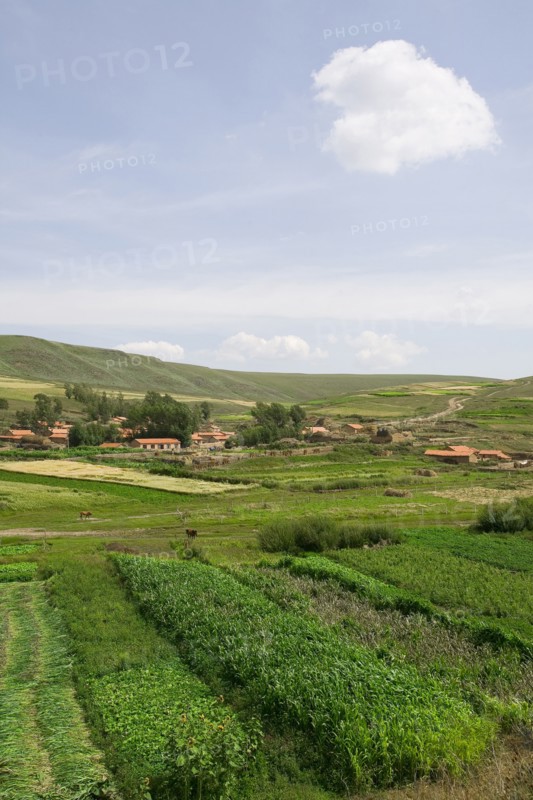 Bashang grassland in Inner Mongolia