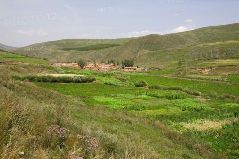 Bashang grassland in Inner Mongolia