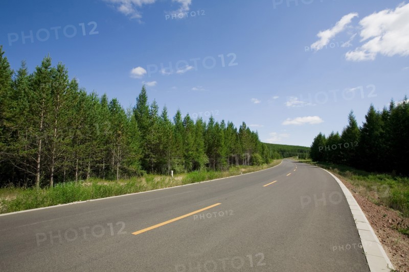 Bashang grassland in Inner Mongolia