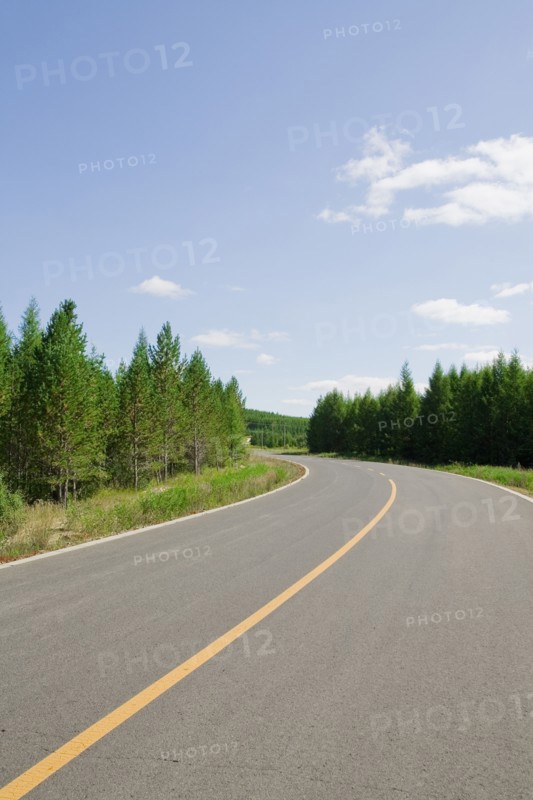 Bashang grassland in Inner Mongolia