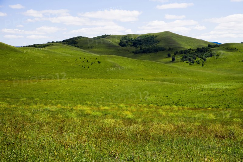 Bashang grassland in Inner Mongolia