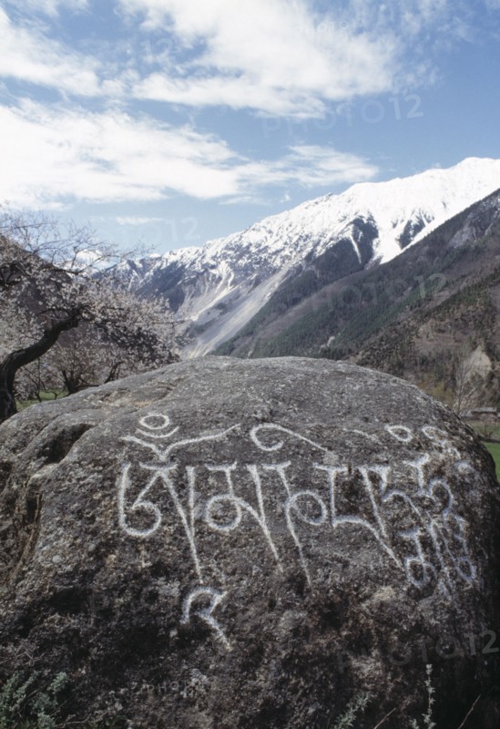Tibet,Ali