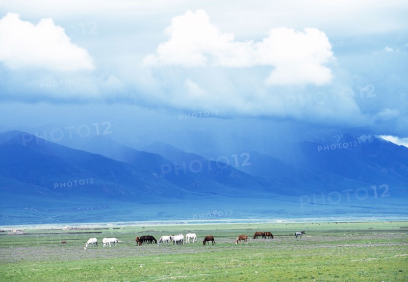 Tibet