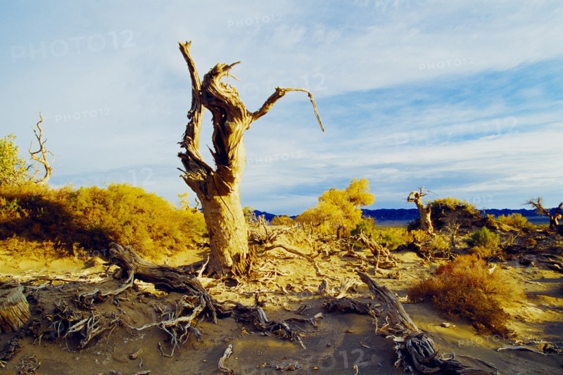 Xinjiang