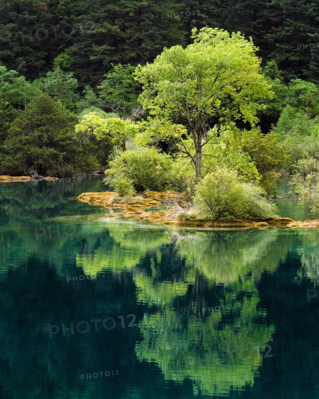 Sichuan Province,Jiuzhaigou