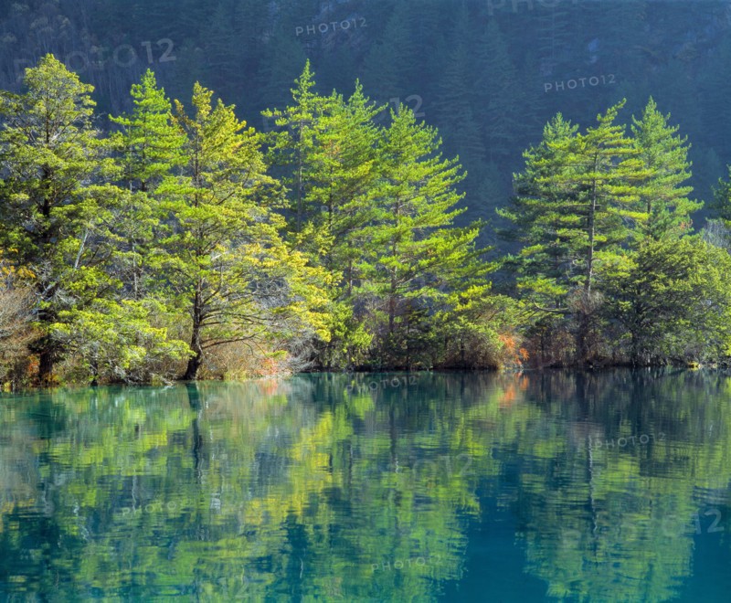 Sichuan Province,Jiuzhaigou