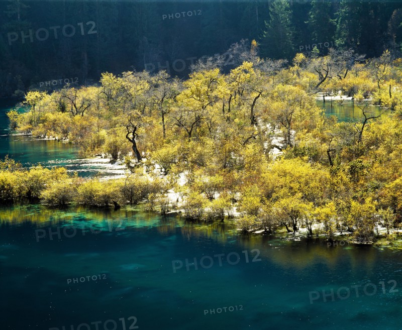 Sichuan Province,Jiuzhaigou