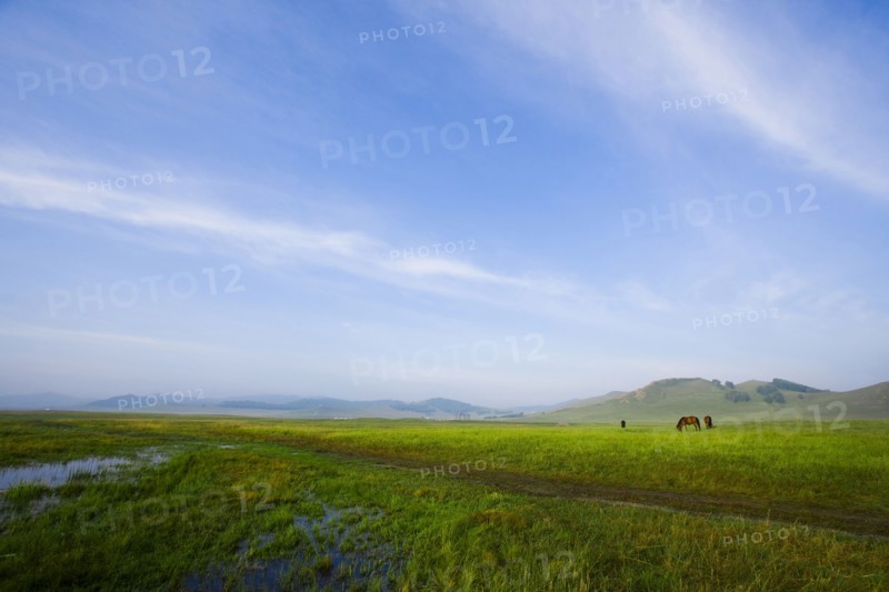 Bashang grassland in Inner Mongolia