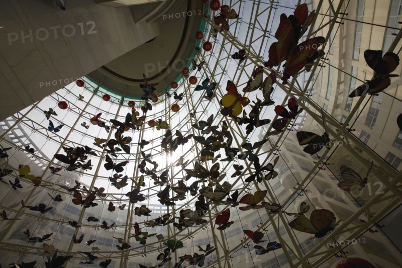 Shanghai Children's Activity Center