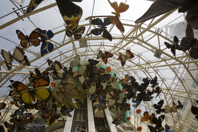 Shanghai Children's Activity Center