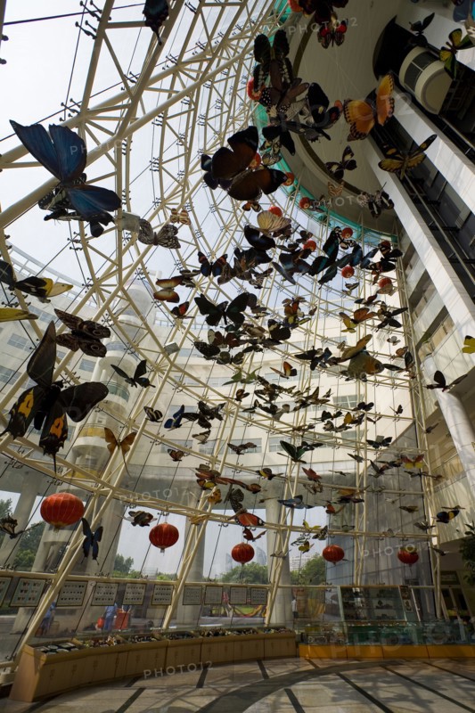Shanghai Children's Activity Center