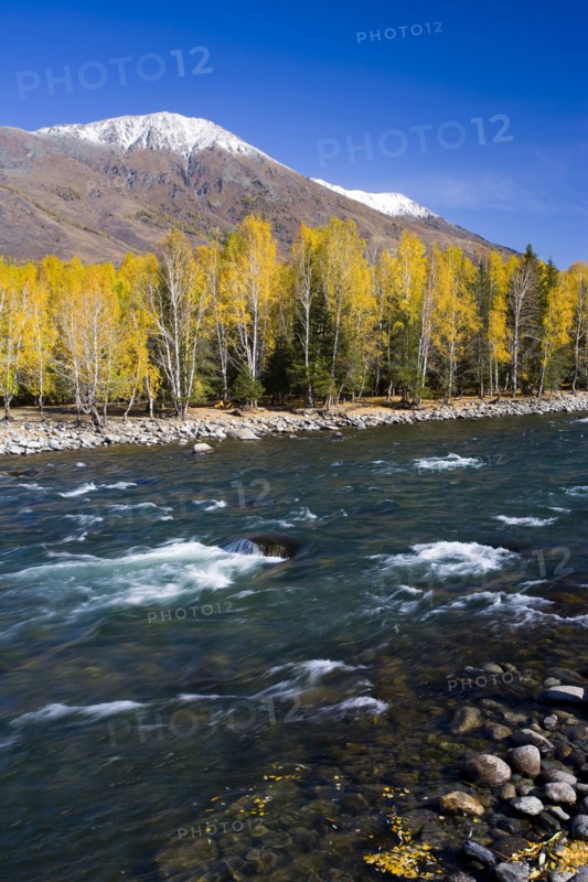 Xinjiang Province,Aletai,