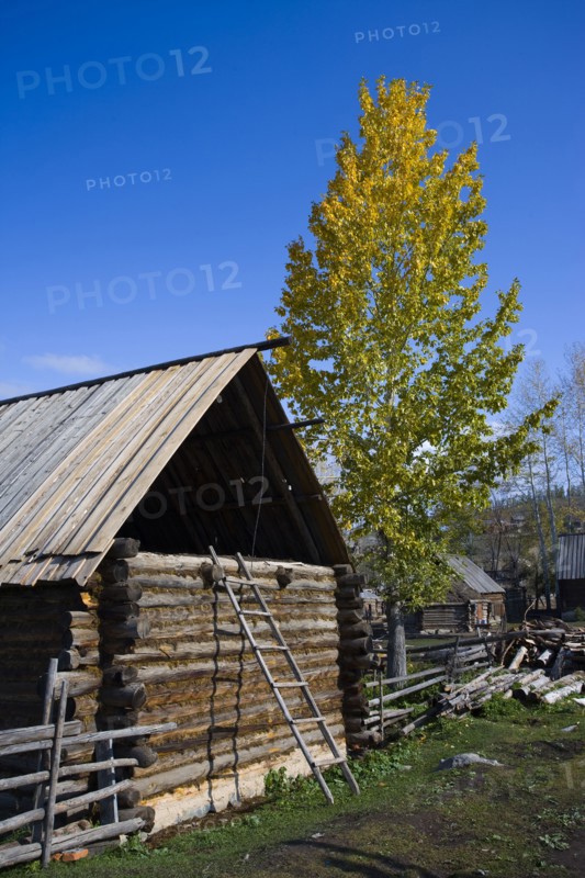 Altay Xinjiang,White Haba,
