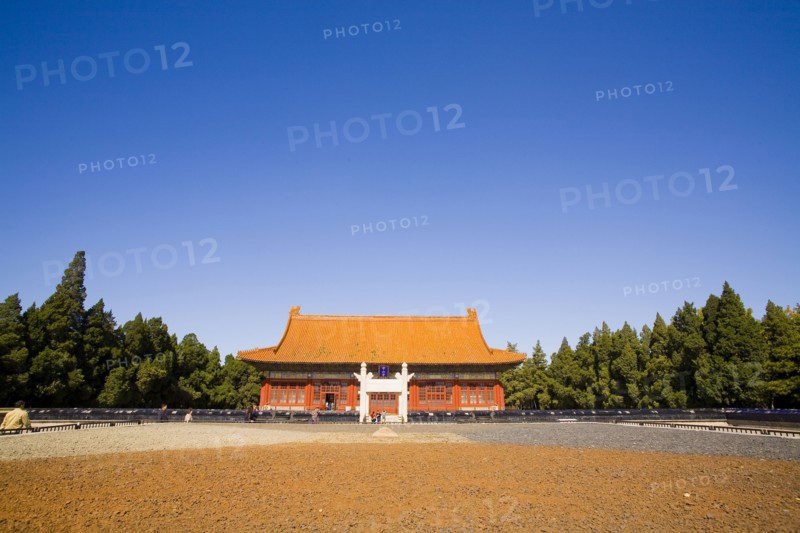 Beijing,Zhongshan Park,Chrysanthemum,