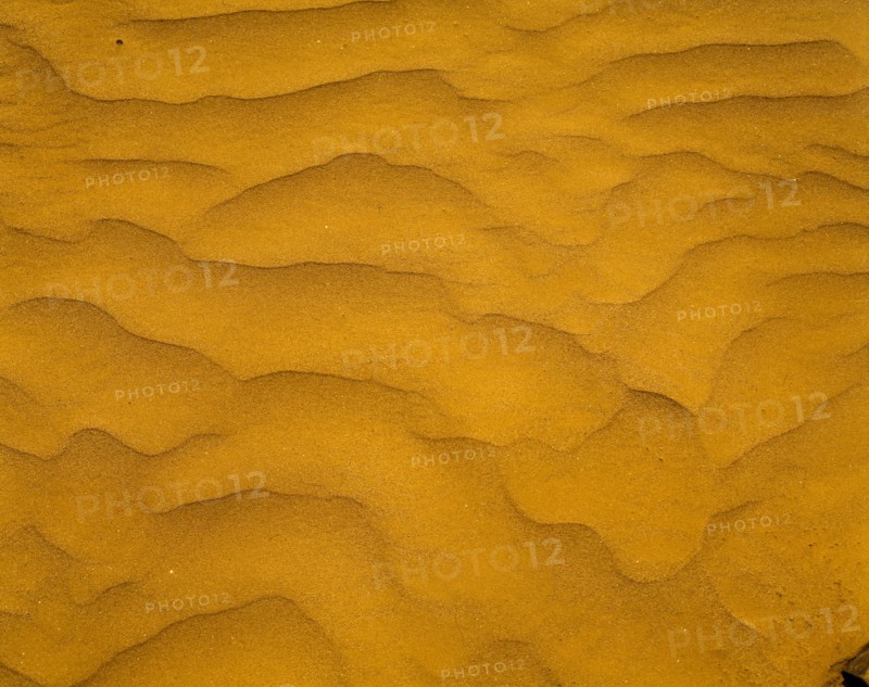 Desert