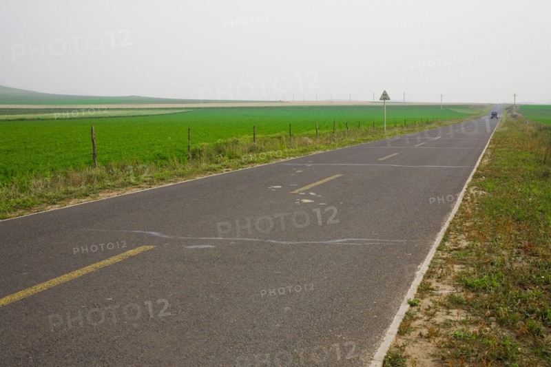Bashang grassland in Inner Mongolia