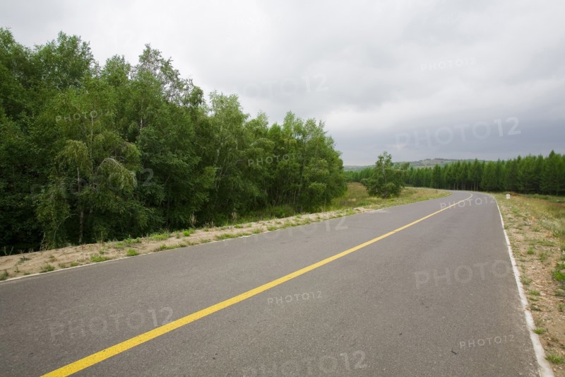 Bashang grassland in Inner Mongolia
