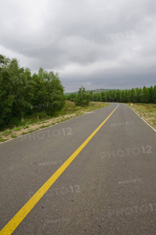 Bashang grassland in Inner Mongolia