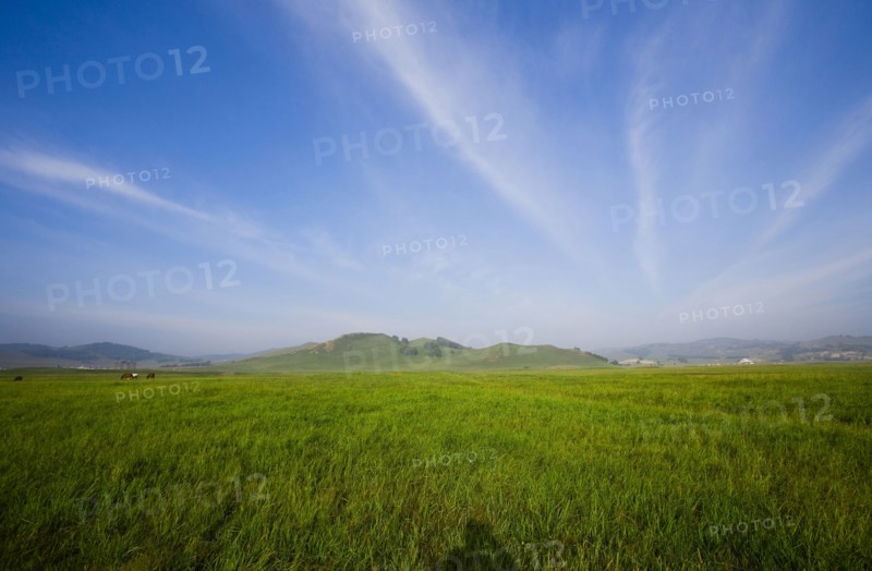 Bashang grassland in Inner Mongolia