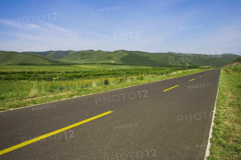 Bashang grassland in Inner Mongolia