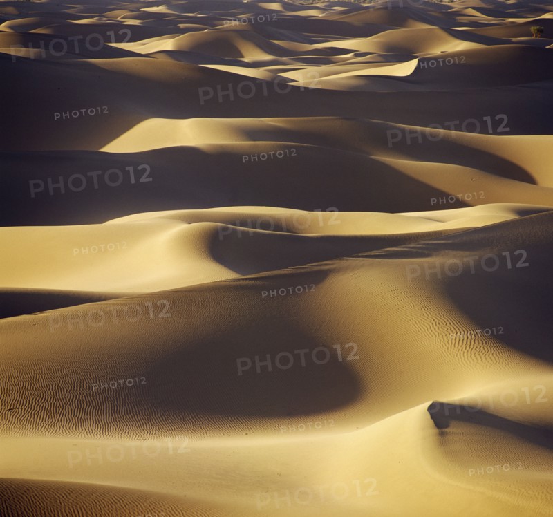 Desert