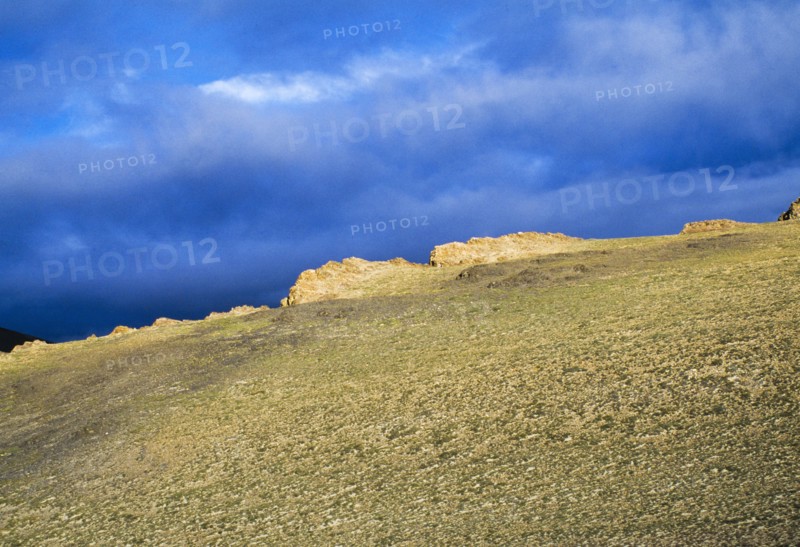 Tibet