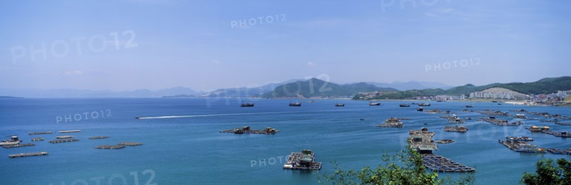 Shenzhen