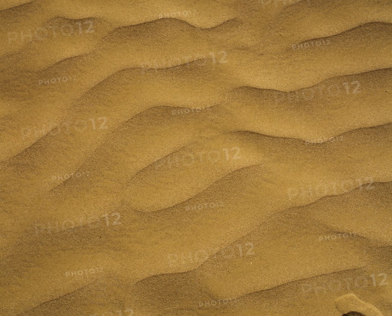 Desert