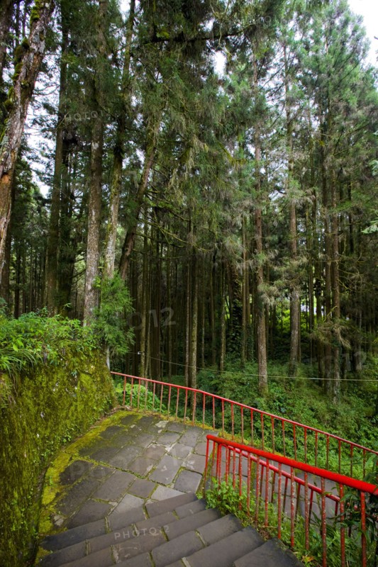 Taiwan, Ali, Botanical Garden,