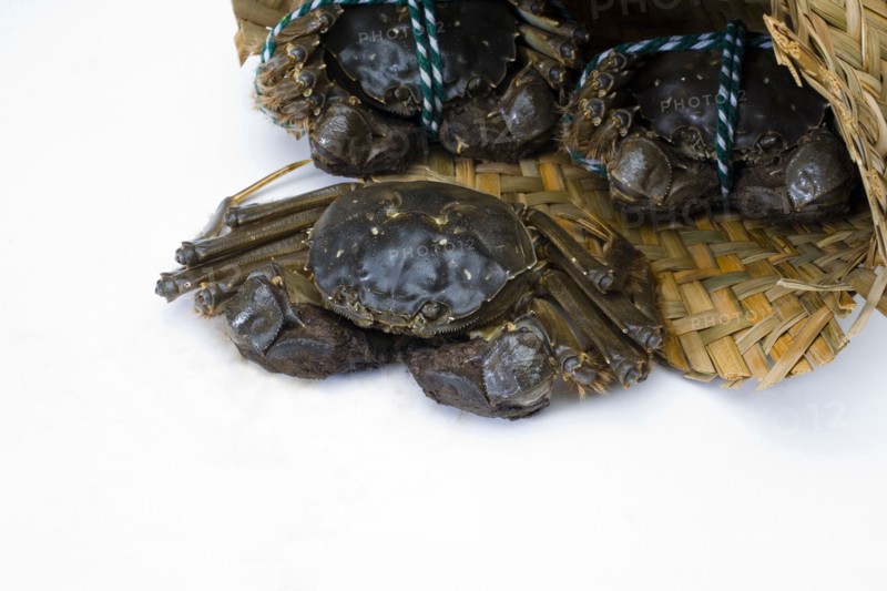 Crab
