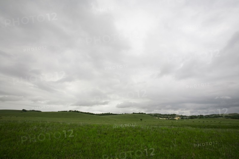 Bashang grassland in Inner Mongolia
