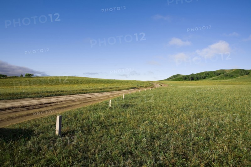 Bashang grassland in Inner Mongolia