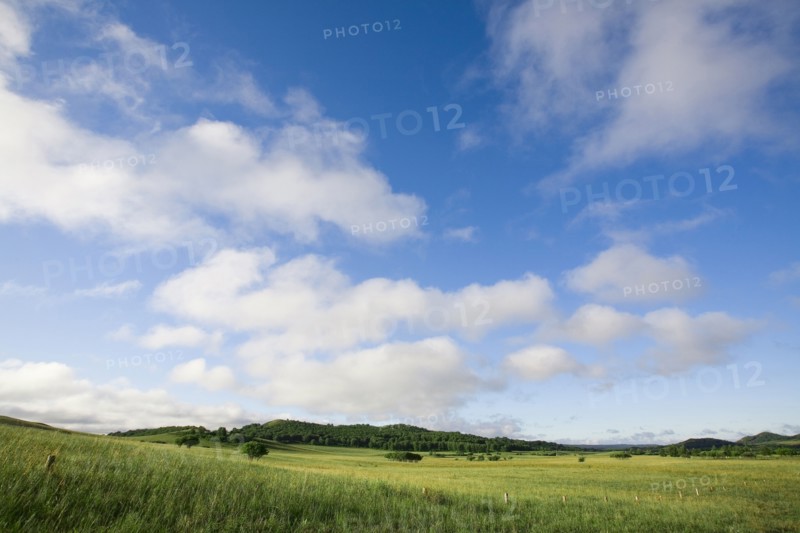 Bashang grassland in Inner Mongolia