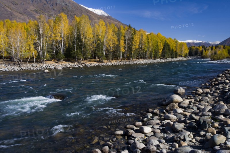 Xinjiang Province, Aletai,