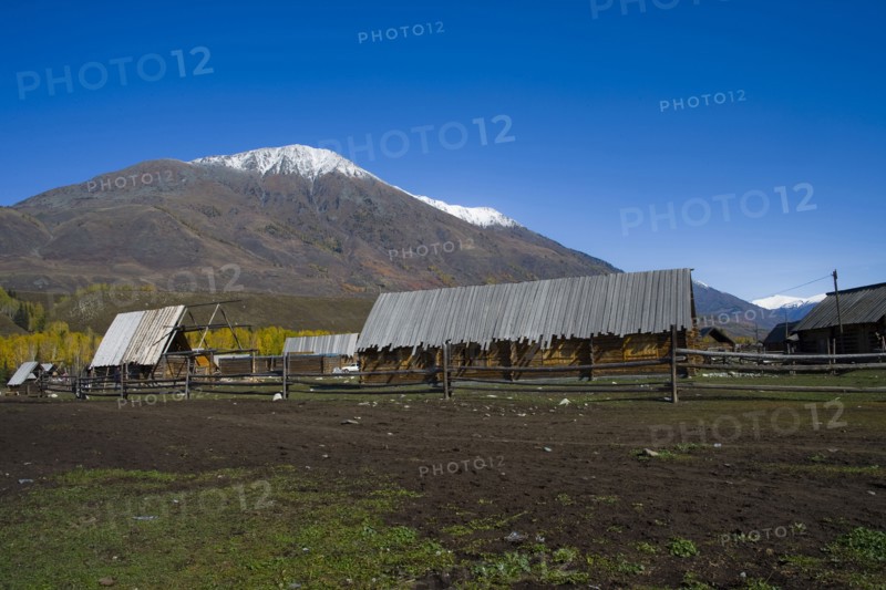Xinjiang Province, Aletai,